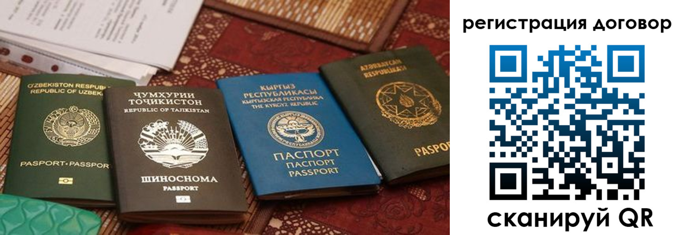 временная регистрация 2025 в Королёве